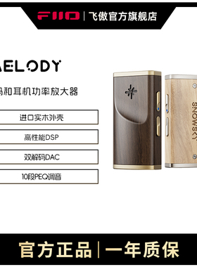 FiiO/飞傲雪漫天旋律Melody手机小尾巴DSD解码耳放耳机功率放大器