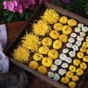 暖穗 高山菊花茶 皇菊贡菊金丝菊黄山山脉高海拔山顶生态菊花无硫