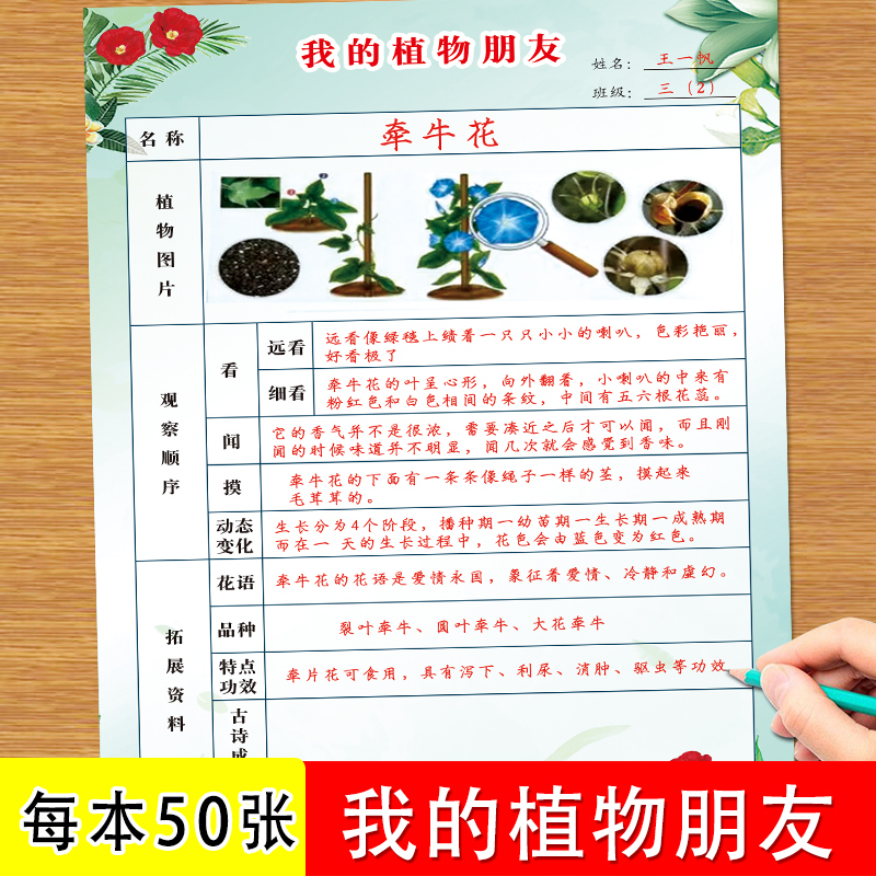 我的植物朋友小学生一年级二年级三年级四年级五年级六年级语文下册同步专项植物触感花香生长变化记录观察表