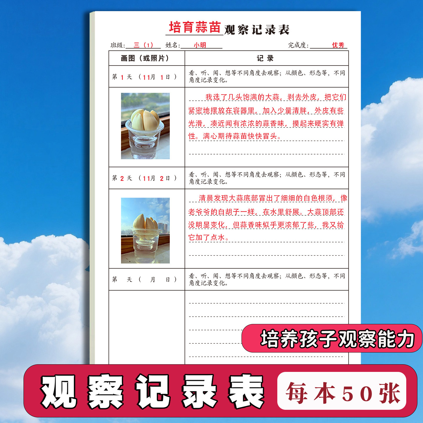 小学生科学二三年级观察记录表豆芽红薯白菜大蒜韭菜西红柿油菜白菜生