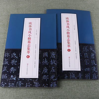 欧体书风小楷墓志集萃壹贰丘师墓志王女节墓志翟天德墓志李誉墓志邓通夫人任氏墓志窦娘子墓志毛笔软笔楷书练字帖附释文加注解