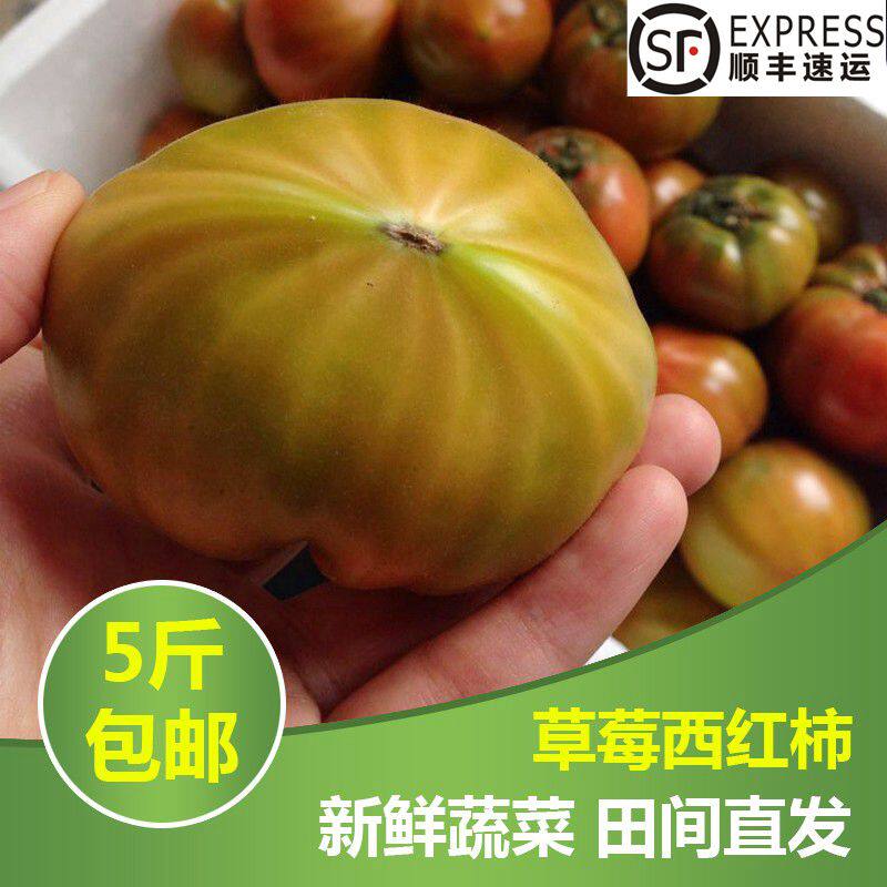 山东威海特产文登沙柳村绿腚草莓柿子孕妇儿童水果番茄5斤包邮