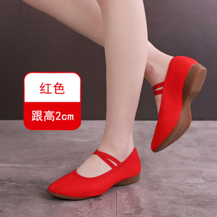 外穿广场鞋新款软底成人四季舞蹈牛筋底演出中老年室外舞鞋交谊舞