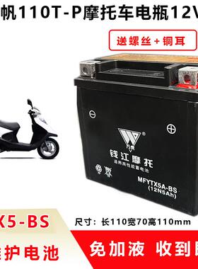 适用力帆LF110T-P风云2踏板女士摩托车电瓶12V5A免维护干 电池
