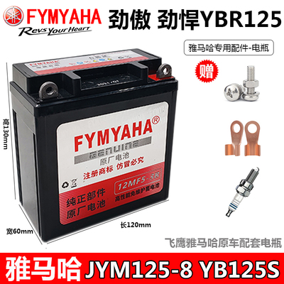 劲傲劲悍摩托车干电瓶