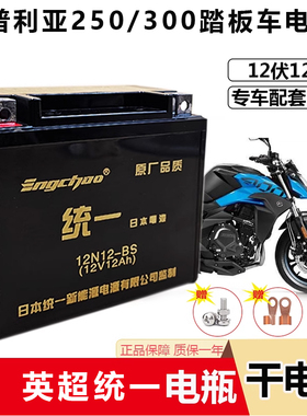 适用阿普利亚srmax250踏板摩托车配套电池12V12A干电瓶