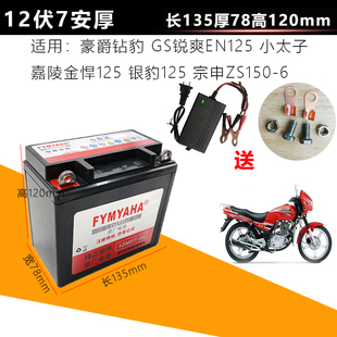 150通用电瓶钱江太子 钱江摩托车125 金刚御龙12V7A免维护蓄电池