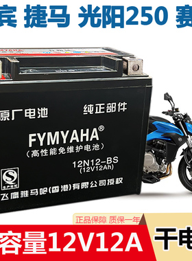 春风650NK摩托车电瓶12v12A国宾650NK400捷马光阳赛艇250干电池