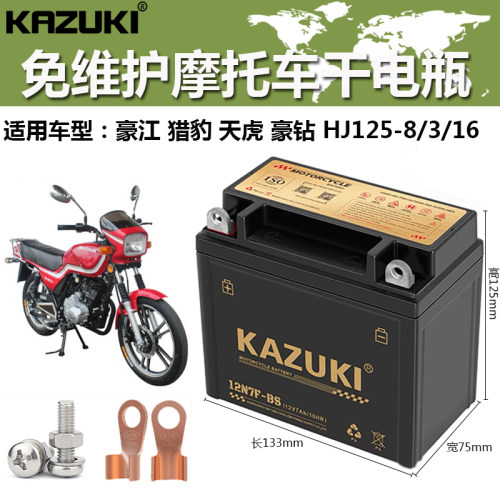 豪江猎豹天虎豪钻摩托车电瓶