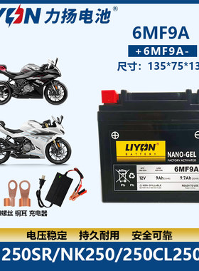 力扬6MF9A春风狒狒摩托车电瓶