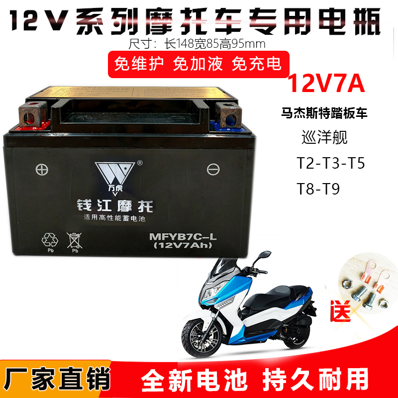 钱江大踏板摩托车电瓶