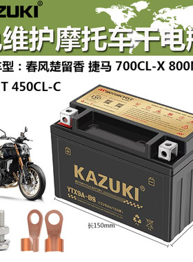 摩托车干电瓶春风楚留香蓄电池