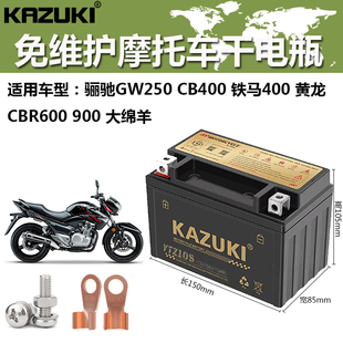 铃木骊驰GW250/DL250/GSX250/天浪400蓄电池摩托车电瓶12V10A通用