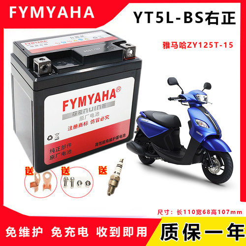 雅马哈巡鹰125胖头鱼踏板车电池