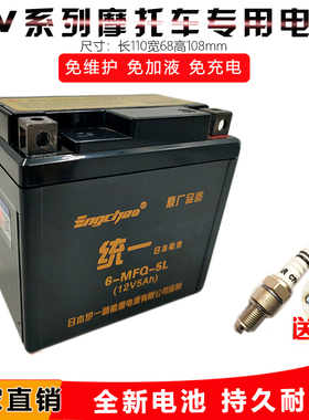 统一摩托车电瓶12V通用MTX5L-BS免维护巧格i天剑飞致150福喜as125