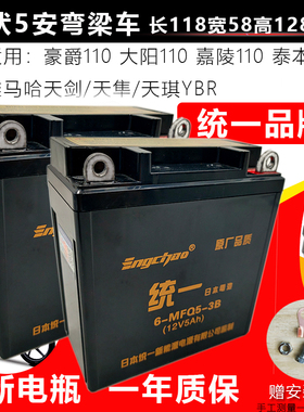 大阳钱江嘉陵宗申100/110女士弯梁摩托车统一免维护电池12V5A干电