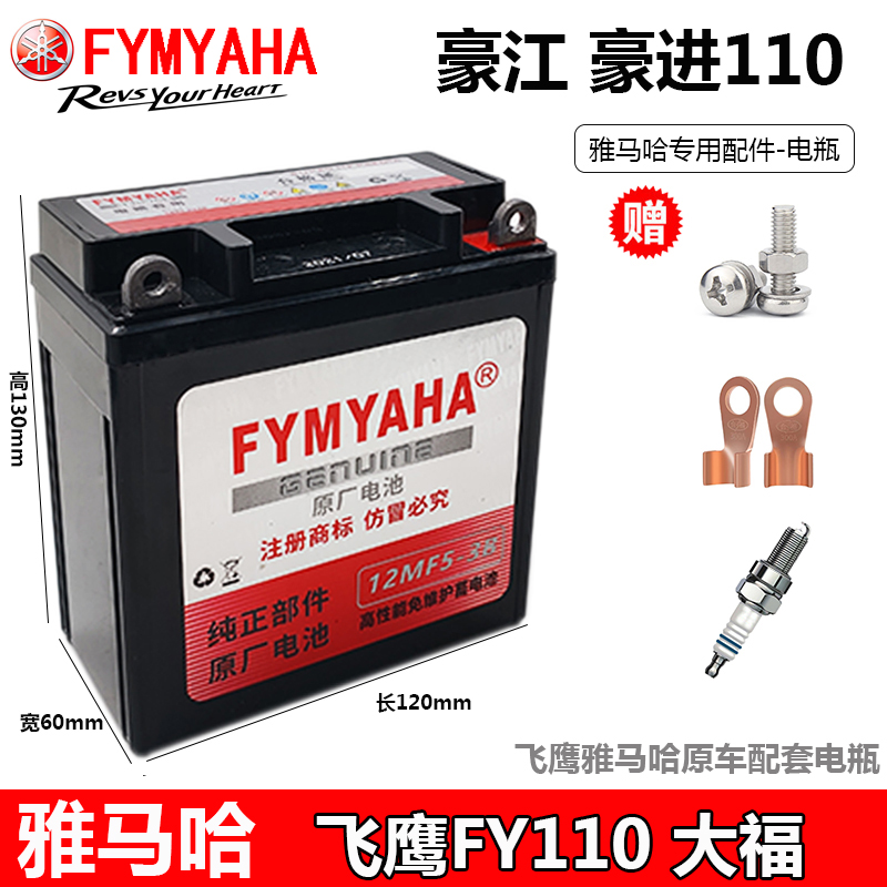 豪江豪进飞鹰天马电瓶