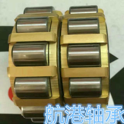 减速机偏心轴承RN204 205 206 207 219  307 308 309 310 311 312