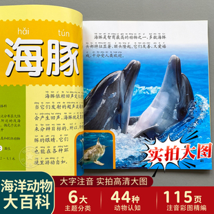 海洋动物大百科  全彩注音版海洋生物百科全书动物书海洋世界动物书籍儿童科普类绘本