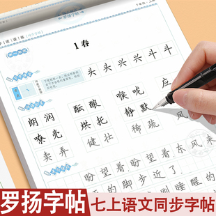 罗扬字帖 七年级上册练字帖 临摹版人教版七年级同步字帖语文写字课课练七上初中生衡水体语文专用字帖