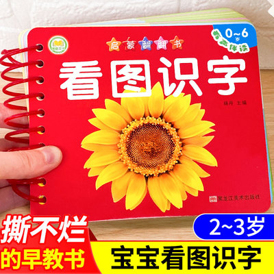 看图识字卡片撕不烂启蒙翻翻书