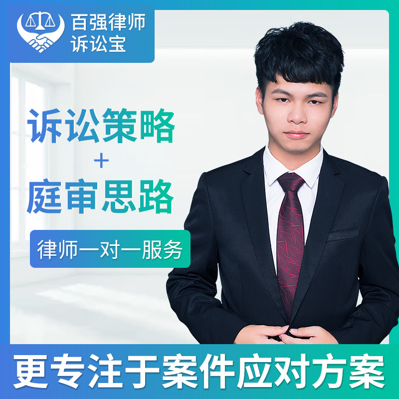 诉讼宝案件起诉上诉开庭答辩律师指导诉讼法律咨询