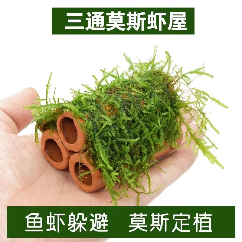 鱼缸水草造景莫斯水草懒人真植物鱼虾躲避罐虾屋小摆件小鱼躲避屋 宠物/宠物食品及用品 水族服务 原图主图