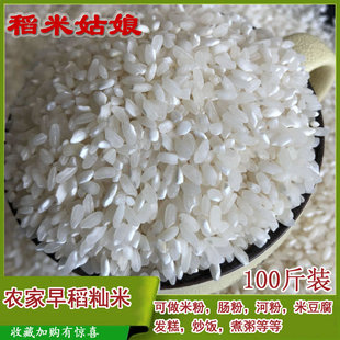 安徽早籼米陈糙米早稻米肠粉米线河粉食堂炒饭不粘贵桂朝米100斤