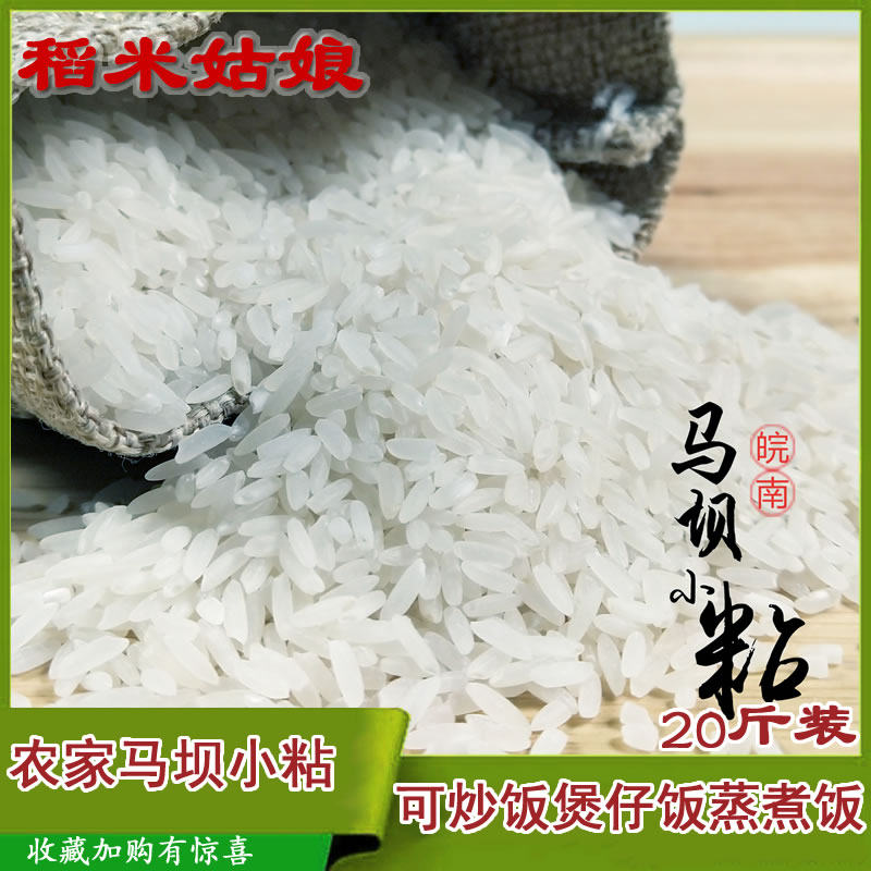 安徽南陵特产马坝小粘米晚籼米农家香新米丝苗杂交米小米20斤正宗