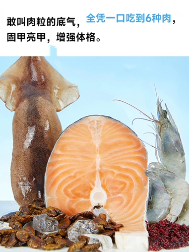 yee Многомерная лиофилизированная черепаха пищевая черепаха закуски черепахи бразильская черепаха Общая пища красная река насеком