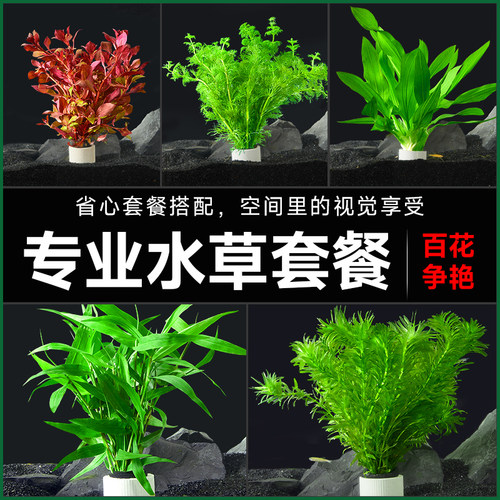 【热销百万+】养鱼增氧水草造景