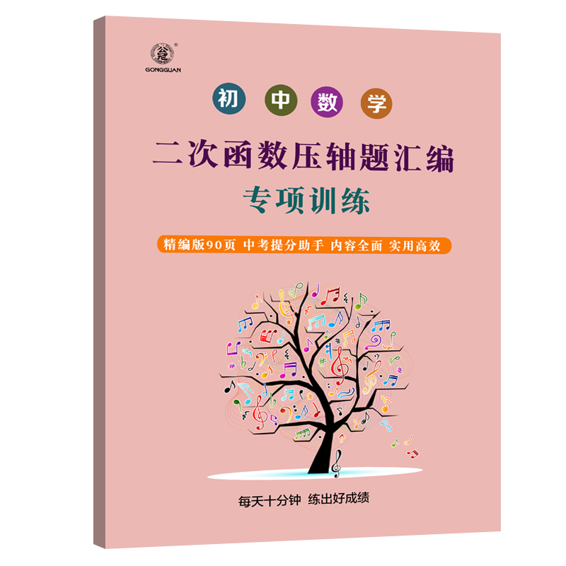 初中数学函数全国初中一次二次函数专题专项练习册初一初二初三复习资料七八九年级中考题型归纳突破专项训练 书籍/杂志/报纸 练字本/练字板 原图主图