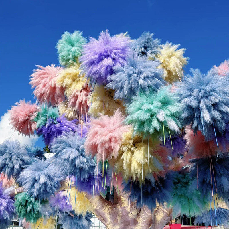 烟花树材料仿真芦苇潘帕斯草6叉芦苇网红花婚庆布置出口外贸批发