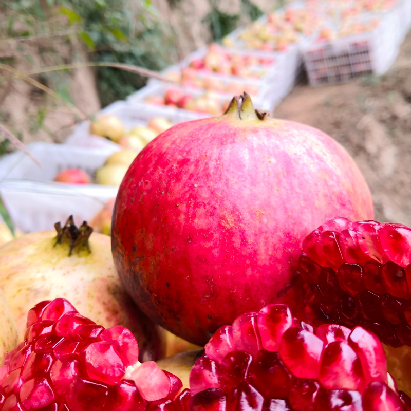 9斤软籽石榴甜酸水果大河阴荥阳新鲜水果突尼斯红 孕妇礼品女孩子