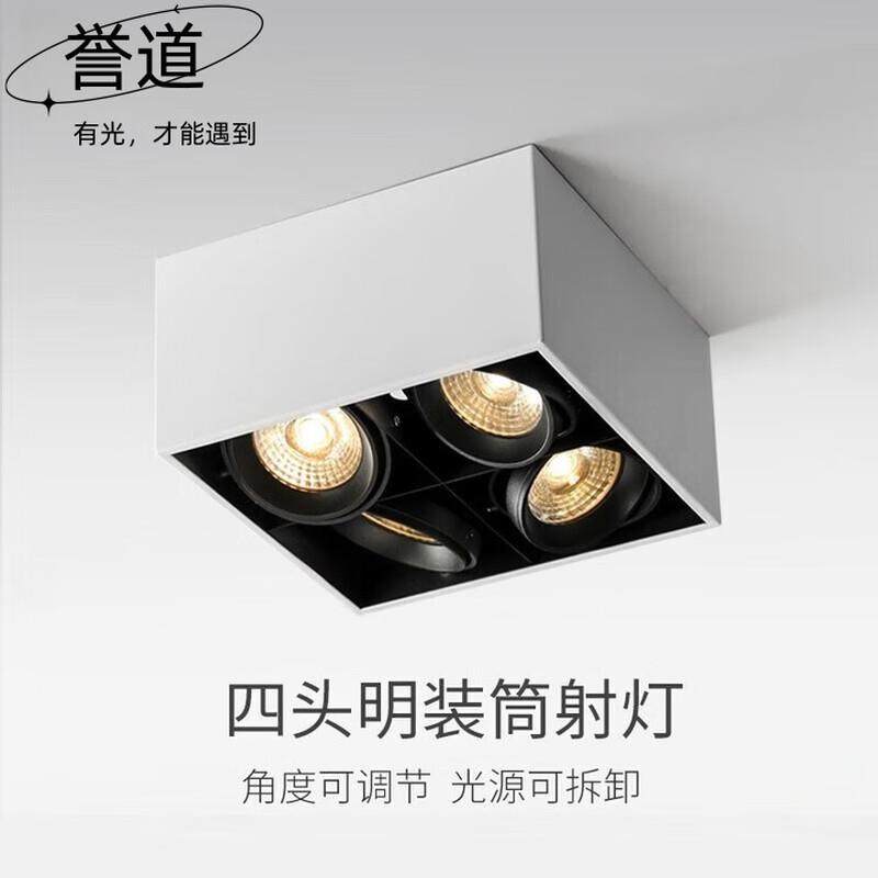 誉道四头斗胆灯射灯led天花灯牛眼灯客厅明装格栅灯走廊灯服装店,标准件/零部件/工业耗材,其他五金件,淘宝优惠券,粉丝福利购,淘宝优惠卷