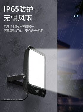 德力西LED投光灯JT603户外防水