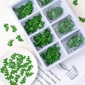 巧克力清香木叶子烘焙蛋糕纸杯胡椒木叶装 饰摆件四叶草插件配件