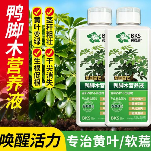 贝可施鸭脚木专用营养液通用浓缩绿植肥料家用盆栽花卉水培植物