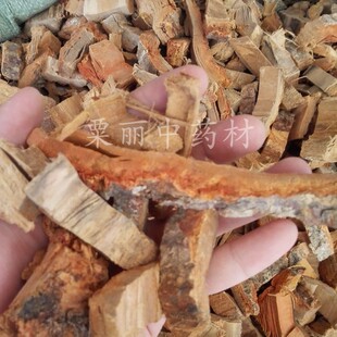 海桐皮 海桐皮500克 包邮 钉桐皮 鼓桐皮 刺桐皮 干货