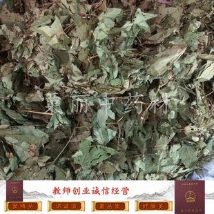 野生甜茶叶 广西大瑶山天然晒干甜茶 刺儿茶 500克包邮 正品干品