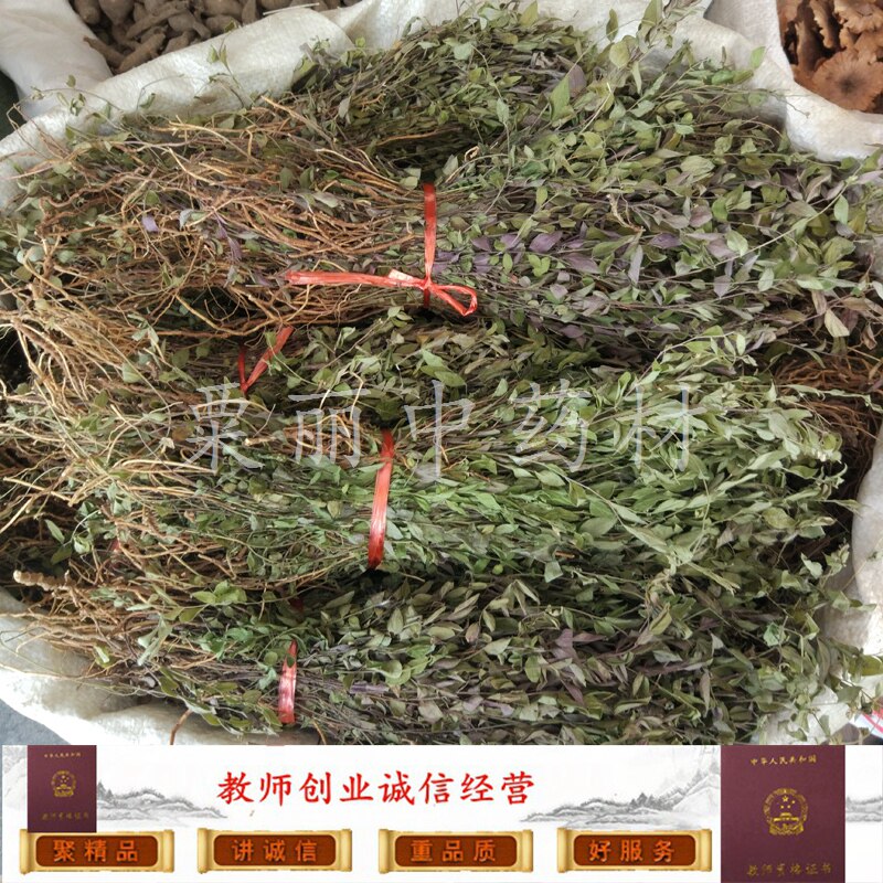 瓜子金 小叶瓜子金 小叶金不换 来马回 勒马回 辰砂草 惊风草包邮