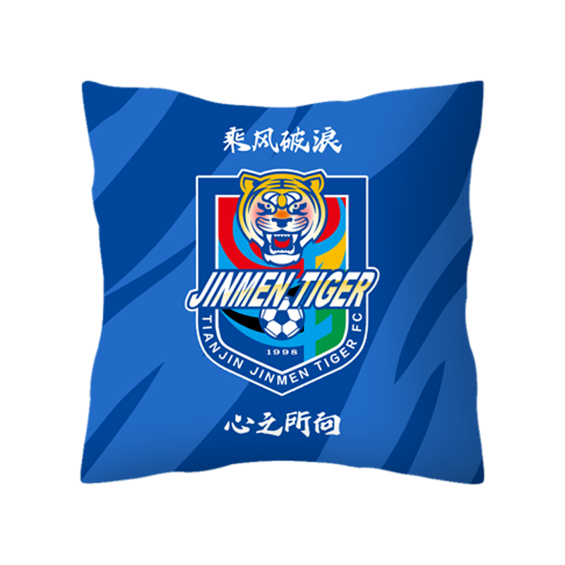 中超上海申花海港泰山国安抱枕