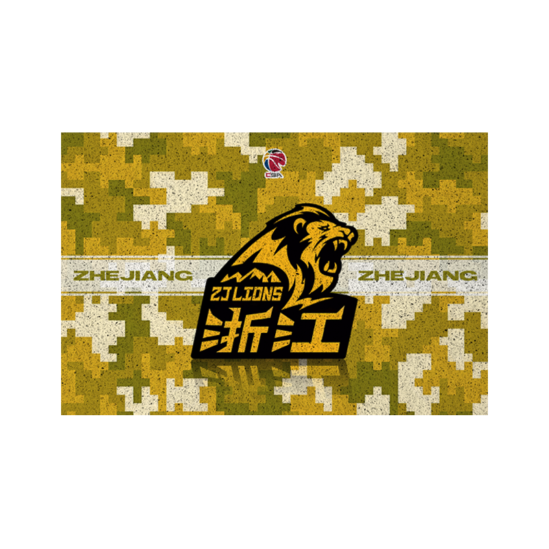 中国男篮球队辽宁山西丝圈地垫
