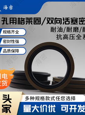 GSI孔用格莱圈STD160/165/170/175/180/185/190/195/200*6.3/8.1