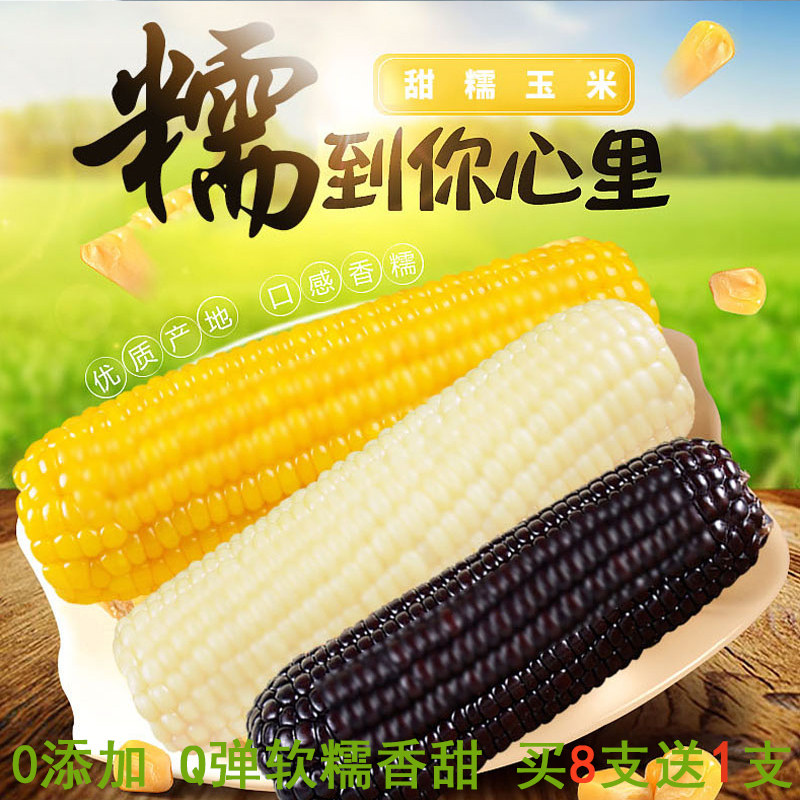 天畔 新疆糯玉米8根混装小玉米 真空袋装甜糯苞米单颗180-230g