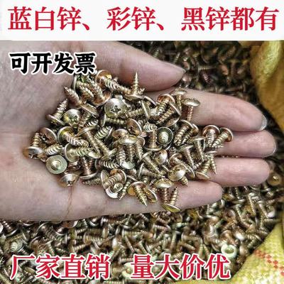 大扁头自攻螺丝彩锌蓝白