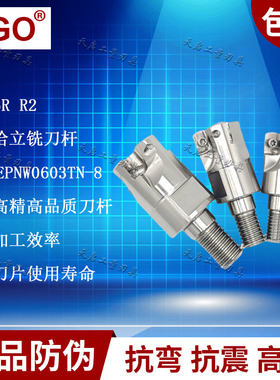 正品EGO数控CNC快进给螺纹锁牙头高品质铣刀R2可换头ASR06R16-35