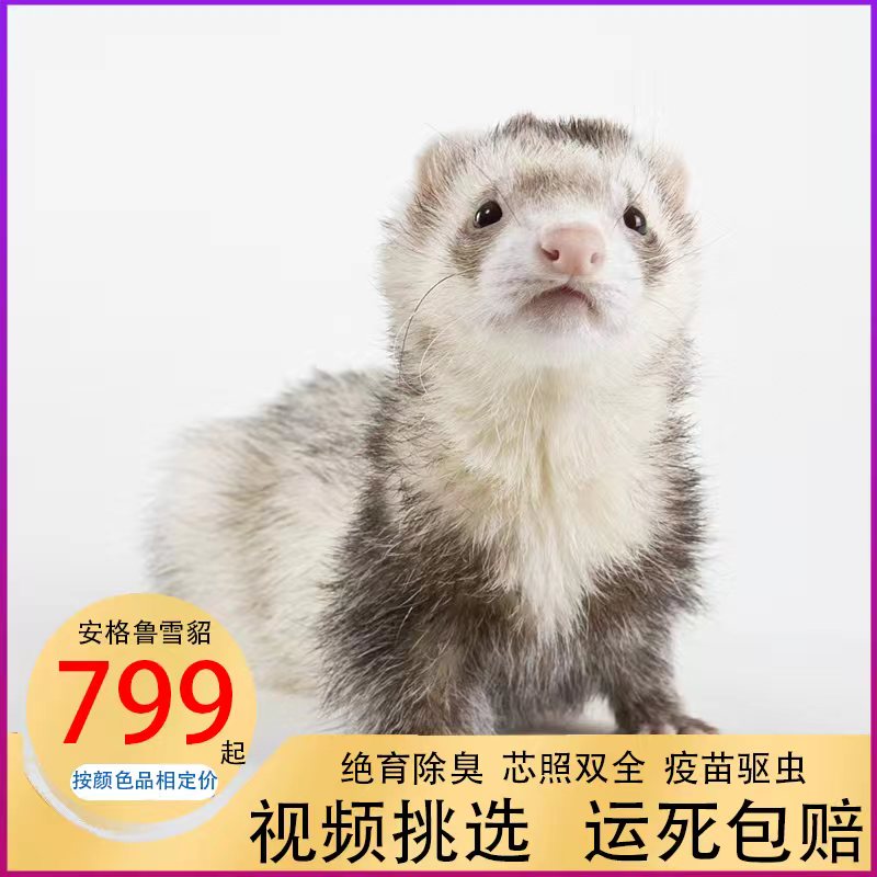 包邮包活包健康到家送赠品和粮食