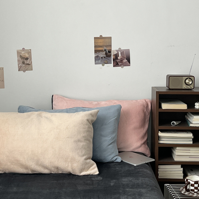 A类加厚牛奶绒枕套单人珊瑚绒冬季48*74cm法兰绒单件保暖枕头罩