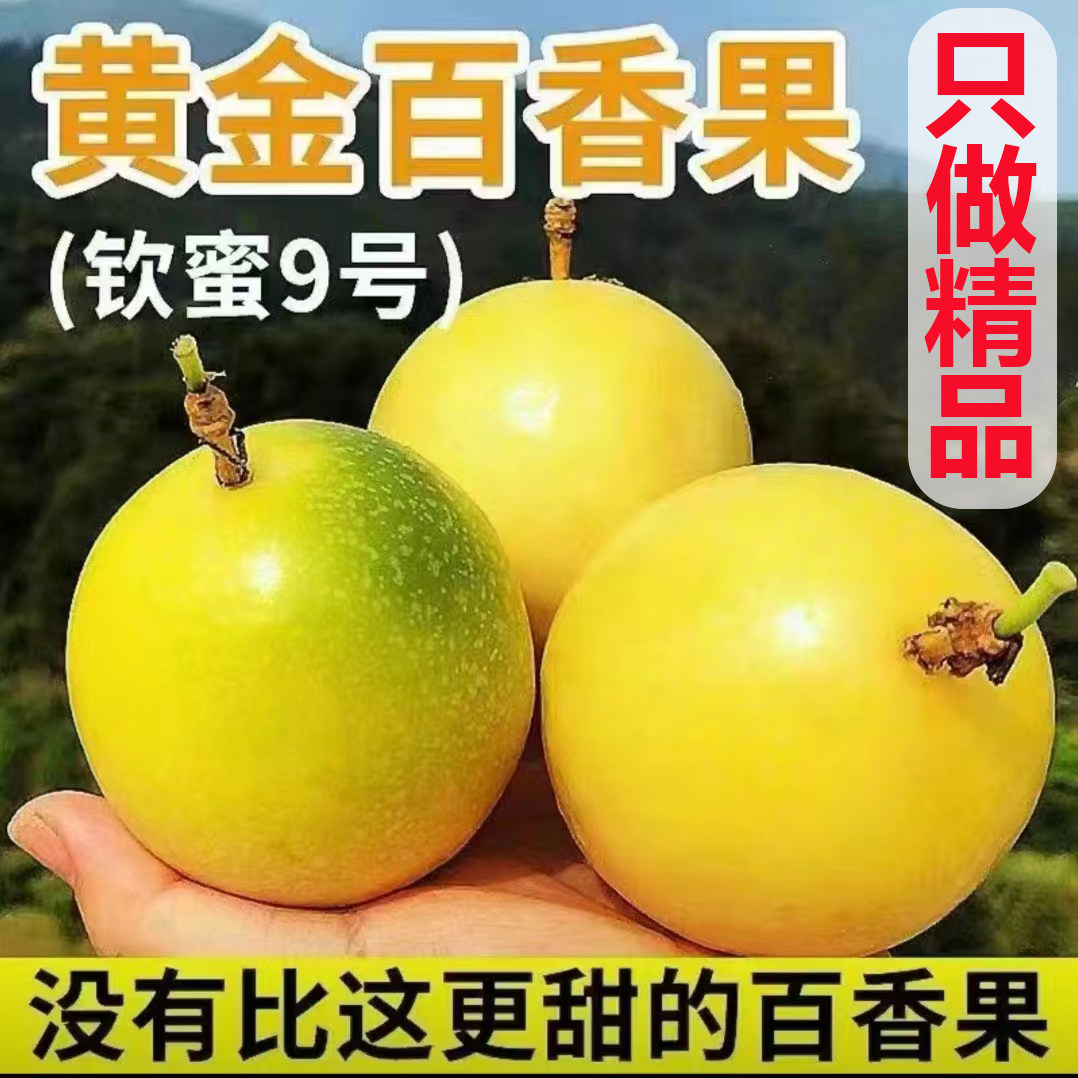 新鲜现摘正宗广西钦蜜9号黄金百香果5斤装水果香甜多汁整箱包邮